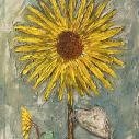 Tournesol - 49X99CM - D.Xhelo - Copyright